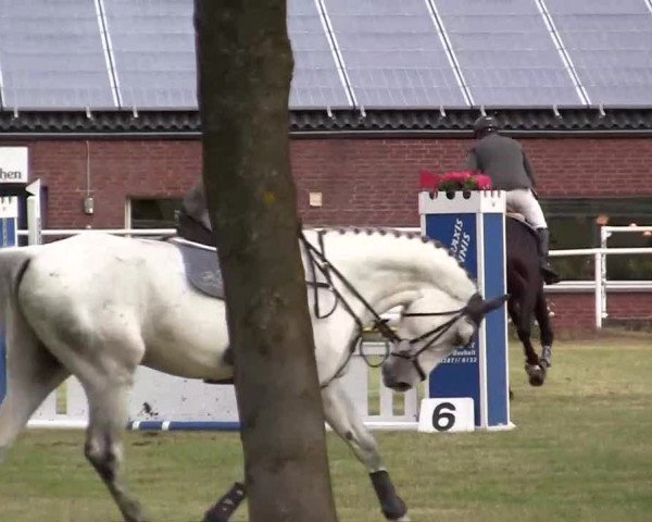 Reit- und Springturnier am 15.-16.06.2013 in Hamminkeln-Dingden