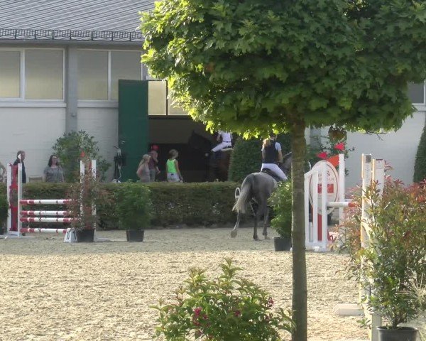 Reitturnier St.Wendel, Gestüt Welvert 2024
