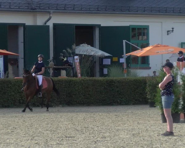 Reitturnier St.Wendel, Gestüt Welvert 2024