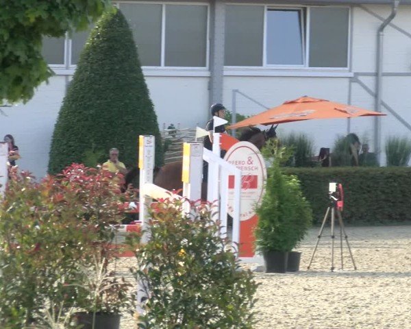 Reitturnier St.Wendel, Gestüt Welvert 2024