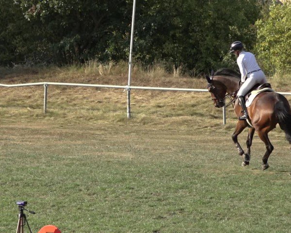 Reitturnier Dannenberg 2024