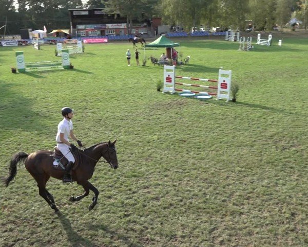 Reitturnier Dannenberg 2024