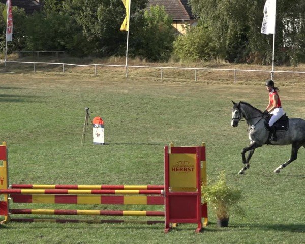 Reitturnier Dannenberg 2024