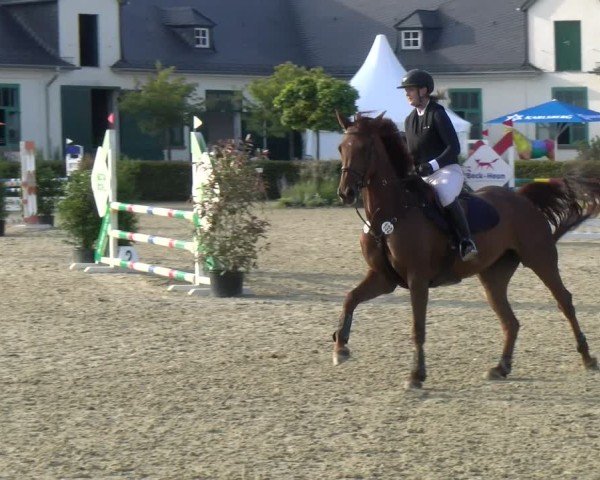 Reitturnier St.Wendel, Gestüt Welvert 2024