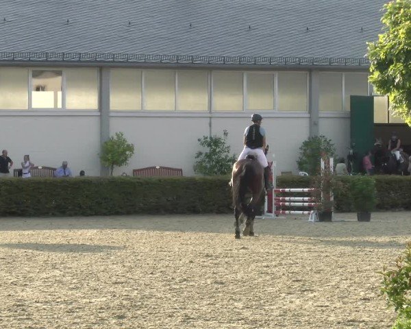 Reitturnier St.Wendel, Gestüt Welvert 2024