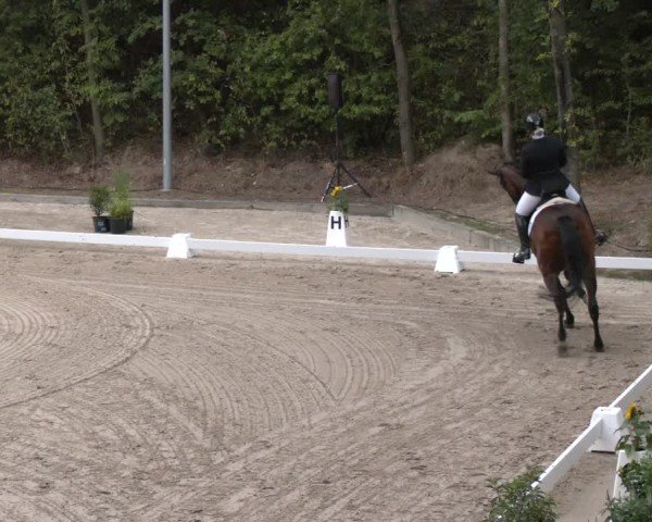 Reitturnier Köln-Flittard (Scheuerhof) 2024
