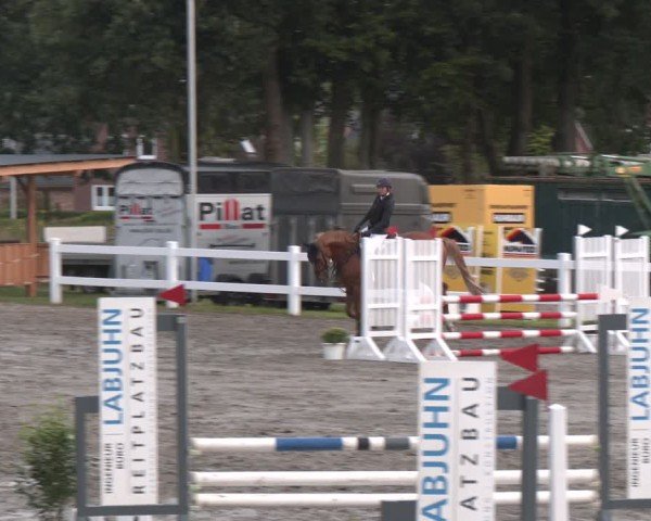 Reitturnier Springturnier Mildstedt 2024