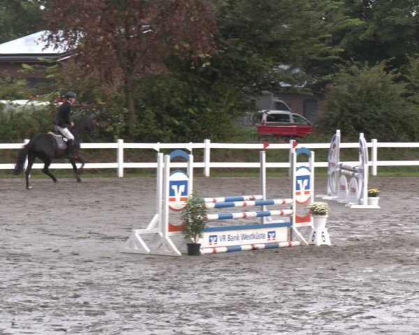 Reitturnier Springturnier Mildstedt 2024