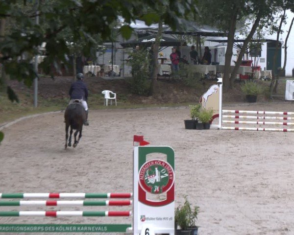 Reitturnier Köln-Flittard (Scheuerhof) 2024