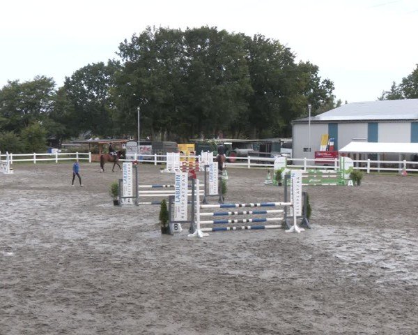 Reitturnier Springturnier Mildstedt 2024
