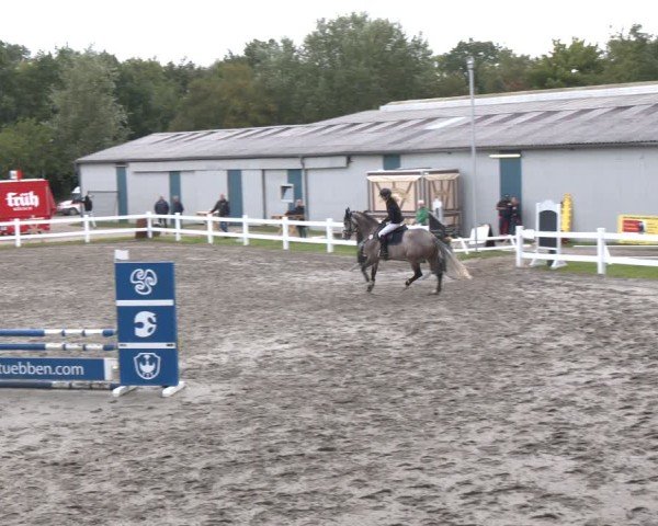 Reitturnier Springturnier Mildstedt 2024
