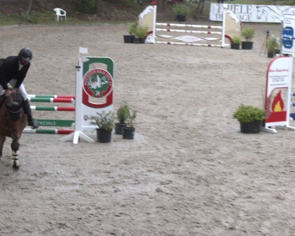 Reitturnier Köln-Flittard (Scheuerhof) 2024