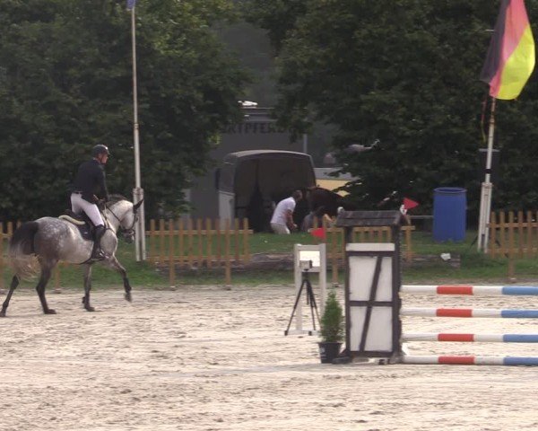 Reitturnier Pietzpuhl 2024