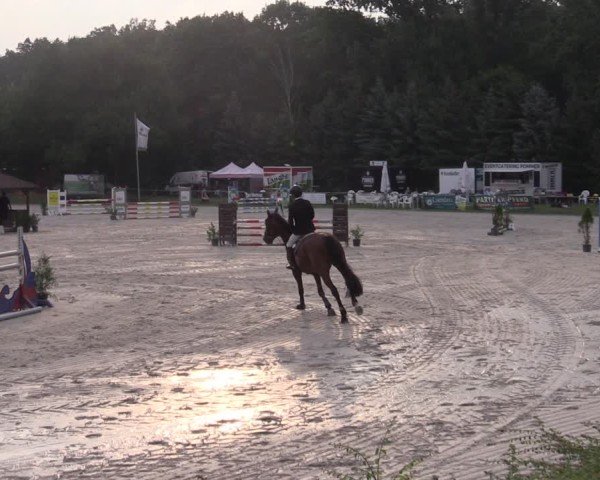 Reitturnier Pietzpuhl 2024
