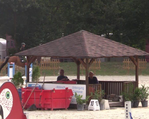 Reitturnier Pietzpuhl 2024
