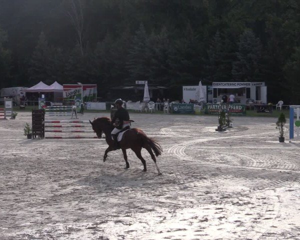 Reitturnier Pietzpuhl 2024
