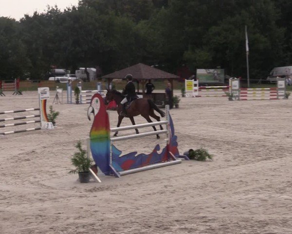 Reitturnier Pietzpuhl 2024
