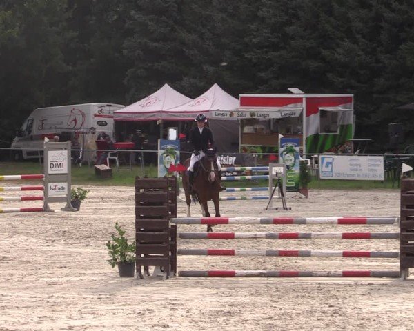 Reitturnier Pietzpuhl 2024