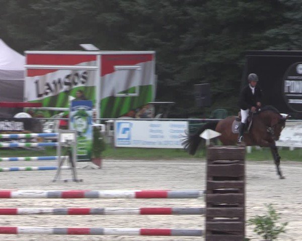 Reitturnier Pietzpuhl 2024