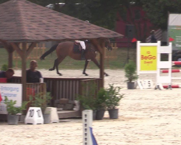 Reitturnier Pietzpuhl 2024