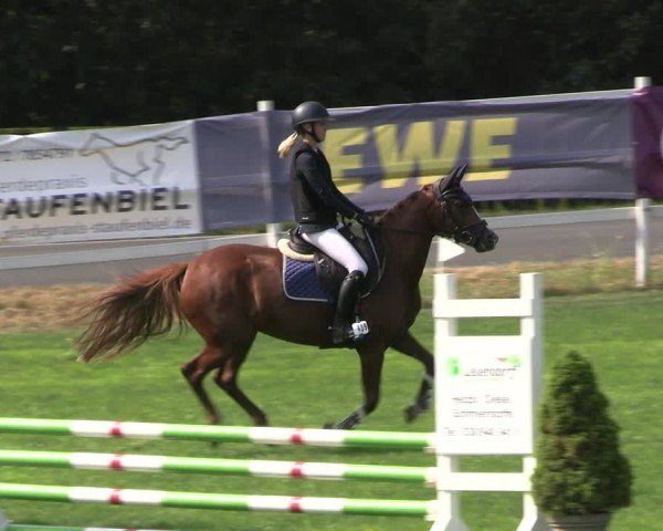 Reitturnier Müncheberg 2024