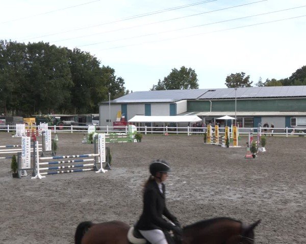 Reitturnier Springturnier Mildstedt 2024