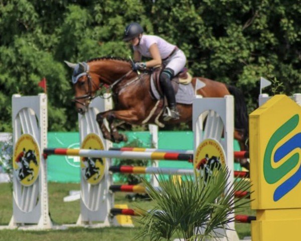 jumper Caramba 117 (Hanoverian, 2016, from Carridam)