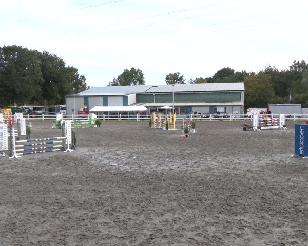 Reitturnier Springturnier Mildstedt 2024