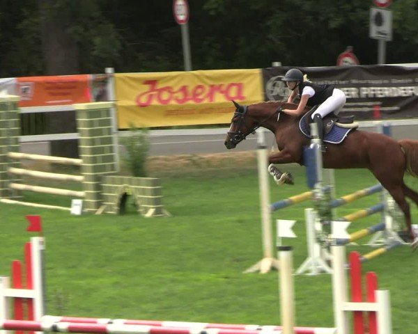 Reitturnier Müncheberg 2024