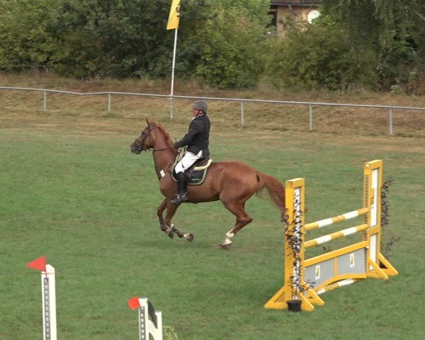 Reitturnier Dannenberg 2024