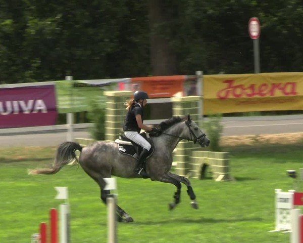 Reitturnier Müncheberg 2024