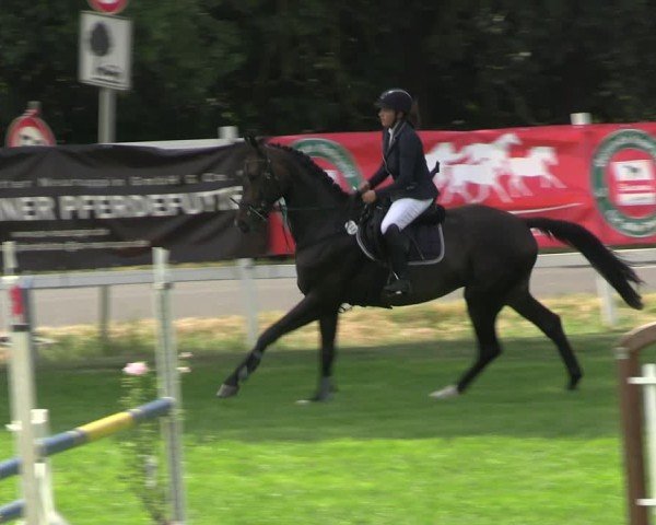 Reitturnier Müncheberg 2024