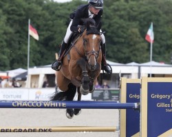 jumper Csf Keatingstown Blue Lagoon (Irish Sport Horse, 2014, from Zirocco Blue)