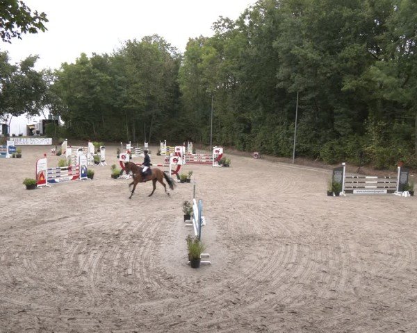 Reitturnier Köln-Flittard (Scheuerhof) 2024