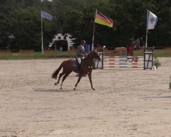 Reitturnier Pietzpuhl 2024
