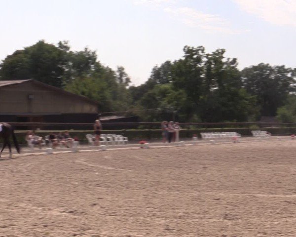 Reitturnier Müncheberg 2024