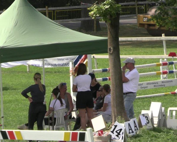 Reitturnier Müncheberg 2024