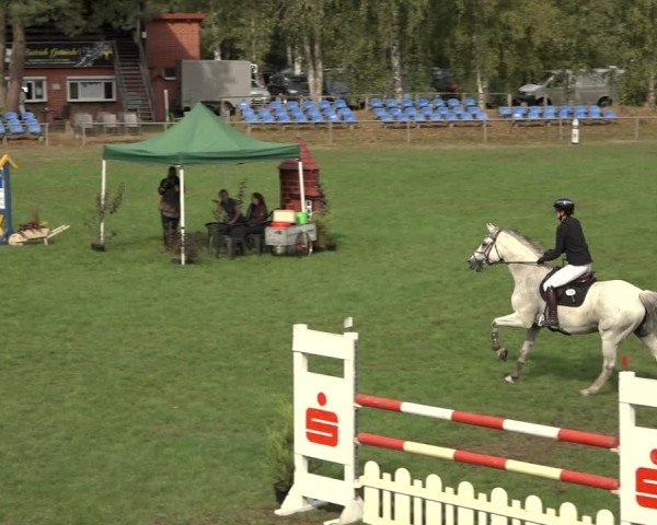 Reitturnier Dannenberg 2024
