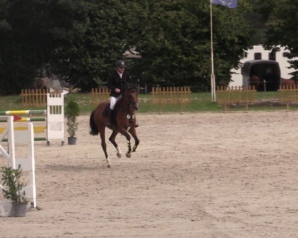 Reitturnier Pietzpuhl 2024