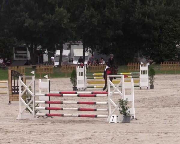 Reitturnier Pietzpuhl 2024