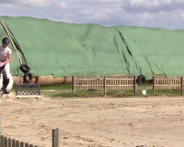 Reitturnier Breiholz "Am Moltkestein" 2024