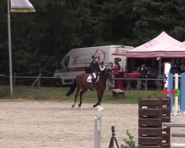 Reitturnier Pietzpuhl 2024