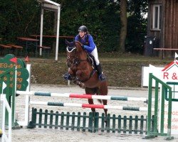 Springpferd Girlywood (Deutsches Sportpferd, 2015, von Sandokan 290)