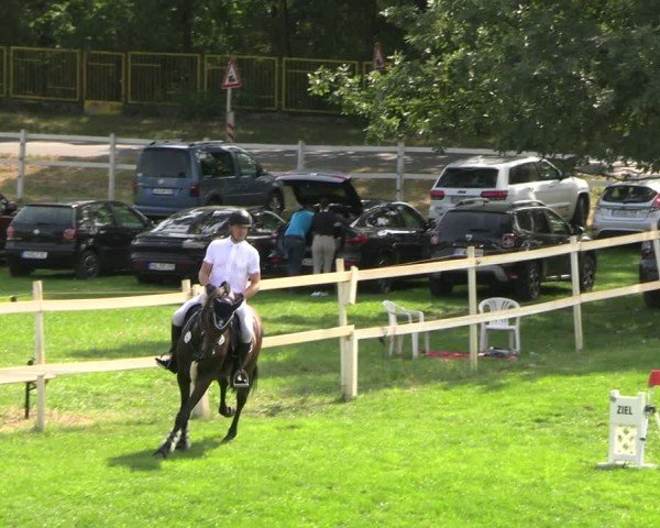 Reitturnier Müncheberg 2024