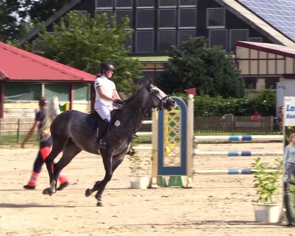 Reitturnier Breiholz "Am Moltkestein" 2024