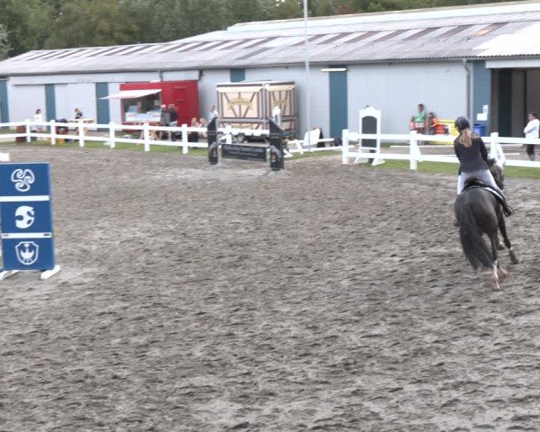 Reitturnier Springturnier Mildstedt 2024
