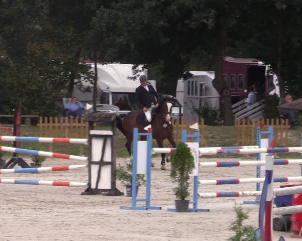 Reitturnier Pietzpuhl 2024