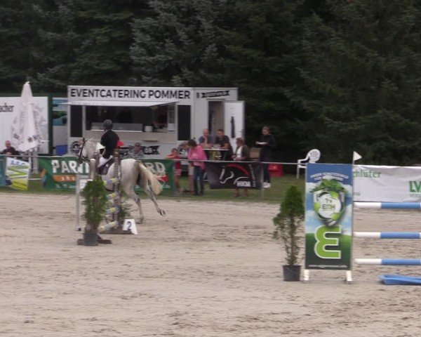 Reitturnier Pietzpuhl 2024