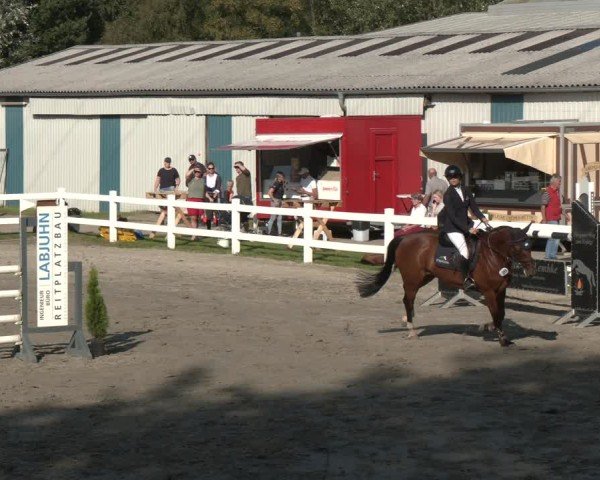 Reitturnier Springturnier Mildstedt 2024