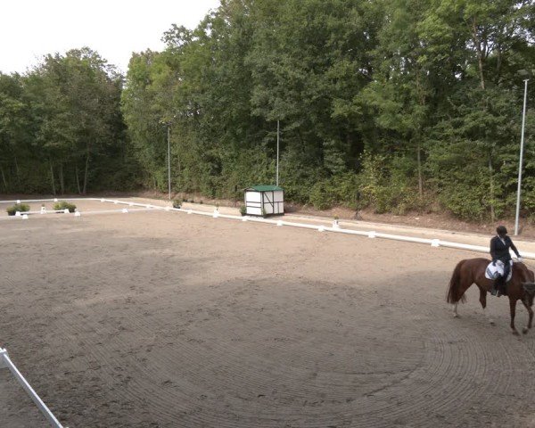 Reitturnier Köln-Flittard (Scheuerhof) 2024
